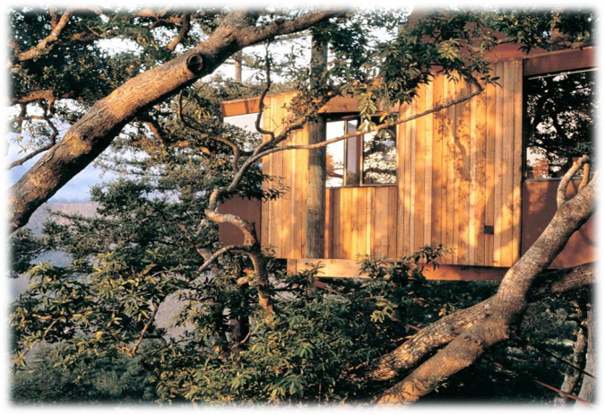 說明: http://m.jobdp.com.cn/uploadfiles/20170115170708964004.png